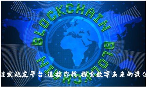 区块链发烧友平台：连接你我，探索数字未来的最佳选择