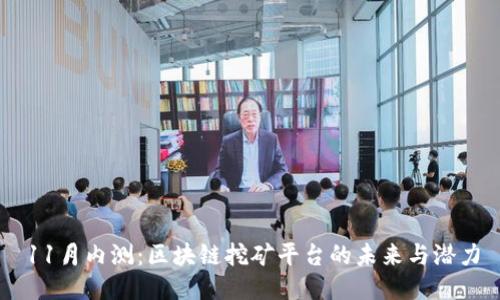 11月内测：区块链挖矿平台的未来与潜力