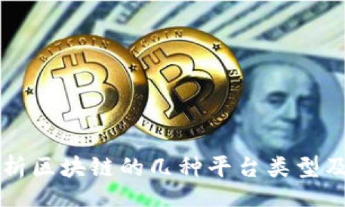 iyi/iyi
深入解析区块链的几种平台类型及其应用