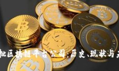 国内首批区块链平台公司:历史、现状与未来展