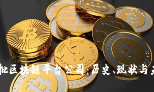 国内首批区块链平台公司:历史、现状与未来展望