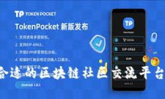 如何选择合适的区块链社区交流平台:完整指南