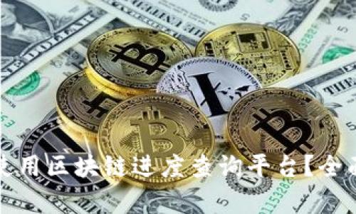 如何选择及使用区块链进度查询平台?全面解析与推荐