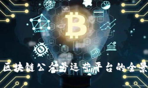 中国区块链公众号运营平台的全景解析