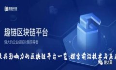 全球最具影响力的区块链平台一览：探索前沿技