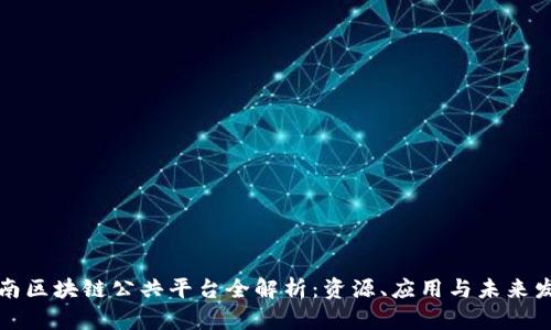 湖南区块链公共平台全解析:资源、应用与未来发展