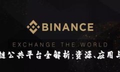 湖南区块链公共平台全解析:资源、应用与未来