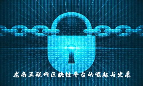 龙南互联网区块链平台的崛起与发展