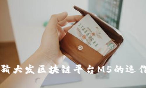 深入探讨哈希竞猜大发区块链平台M5的运作机制与市场潜力